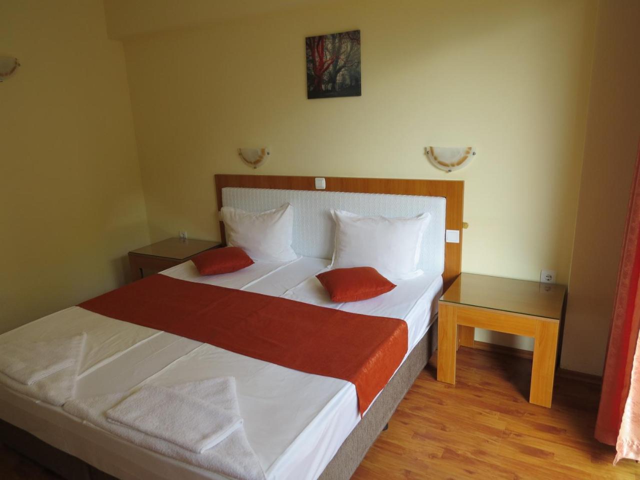 Family Hotel Dayana Beach 辛尼莫雷特 外观 照片
